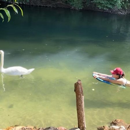 Gite De Vacances Jardin Monet Giverny Vernon Sainte-Genevieve-les-Gasny Екстериор снимка