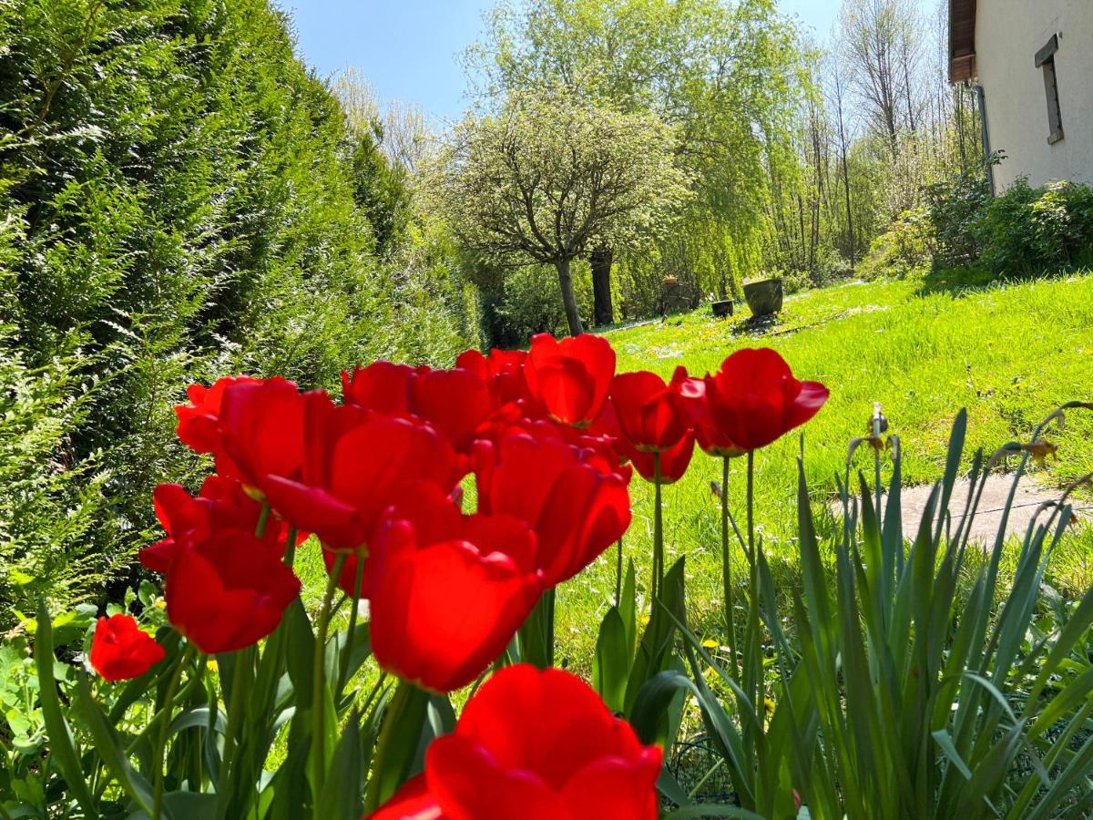 Gite De Vacances Jardin Monet Giverny Vernon Sainte-Genevieve-les-Gasny Екстериор снимка